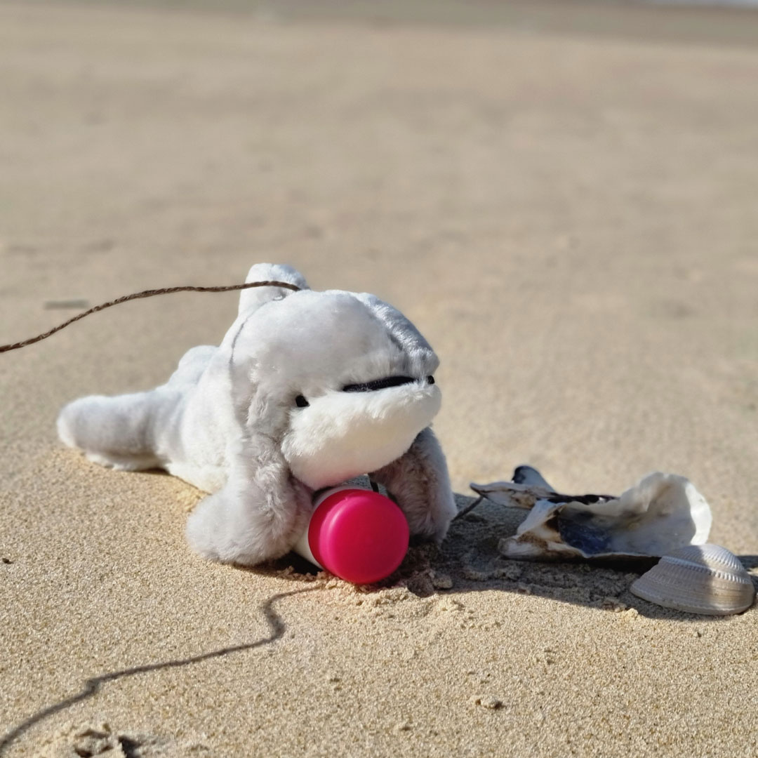 Schweinswal an der Leine