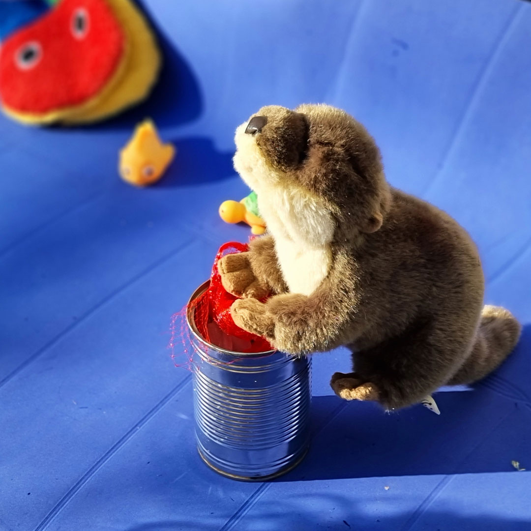 Der Fischotter räumt auf