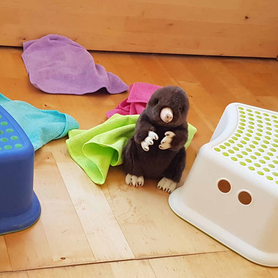 Frühjahrsputz beim Maulwurf