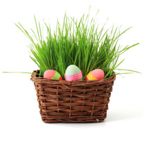 Oster-Guck-Guck-Versteckspiel