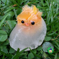 Eisige Überraschungseier