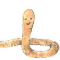 Regenwurm